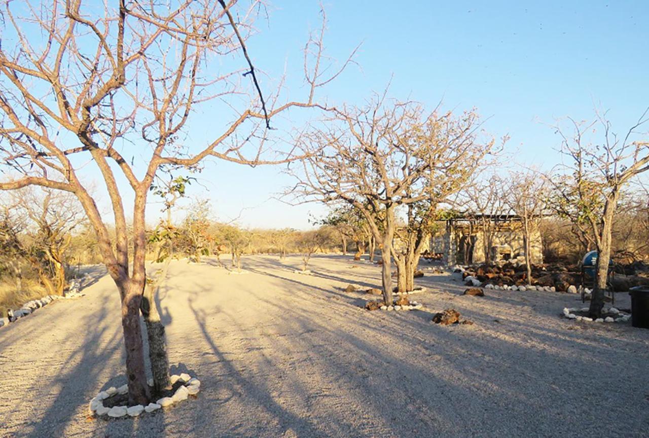 Etosha Village Campsite Окаукуэджо Экстерьер фото