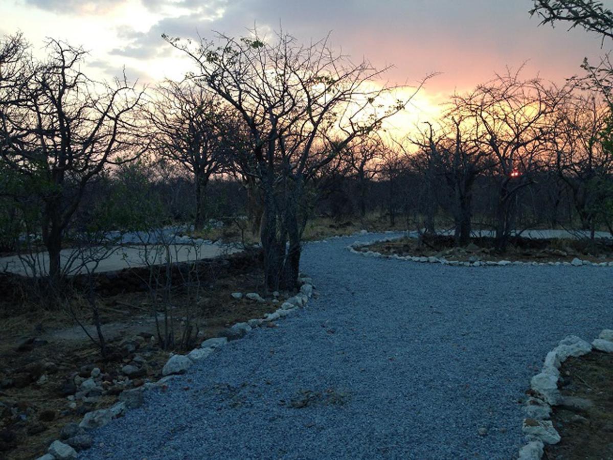 Etosha Village Campsite Окаукуэджо Экстерьер фото
