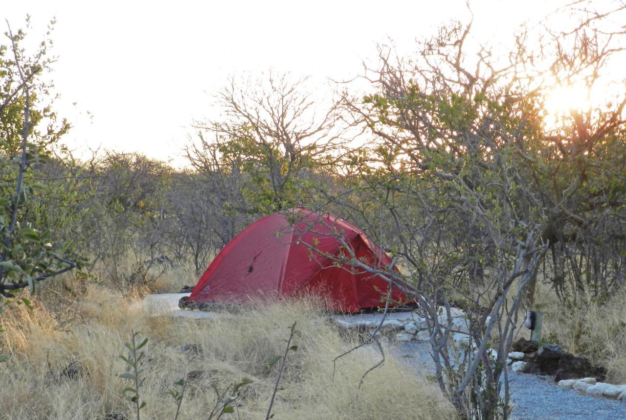 Etosha Village Campsite Окаукуэджо Экстерьер фото